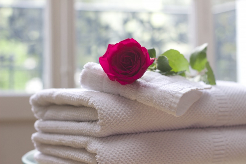 chambre-hote-COMPS SUR ARTUBY-min_towel_rose_clean_care_salon_spa_white_bath-731641